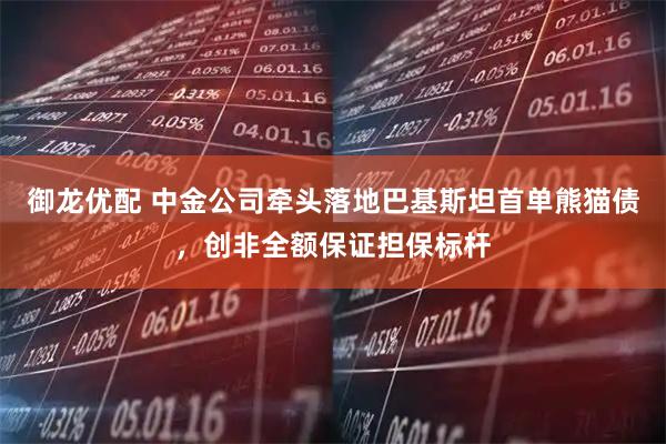御龙优配 中金公司牵头落地巴基斯坦首单熊猫债，创非全额保证担保标杆