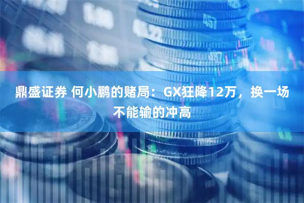 鼎盛证券 何小鹏的赌局：GX狂降12万，换一场不能输的冲高