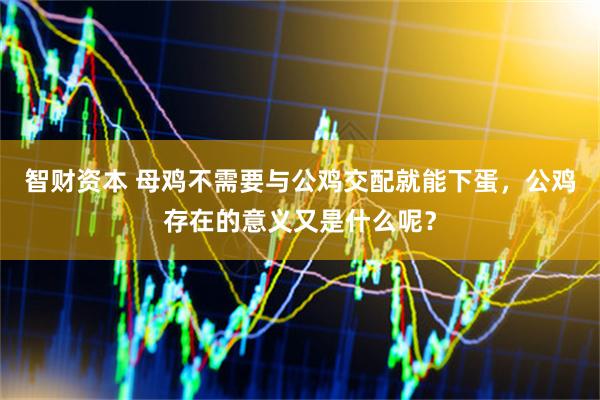 智财资本 母鸡不需要与公鸡交配就能下蛋，公鸡存在的意义又是什么呢？